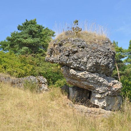 Appartamento Haus Hippelstein Gönnersdorf Esterno foto